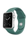 Fujimax Apple Watch Klasik Kordon Çam Yeşili